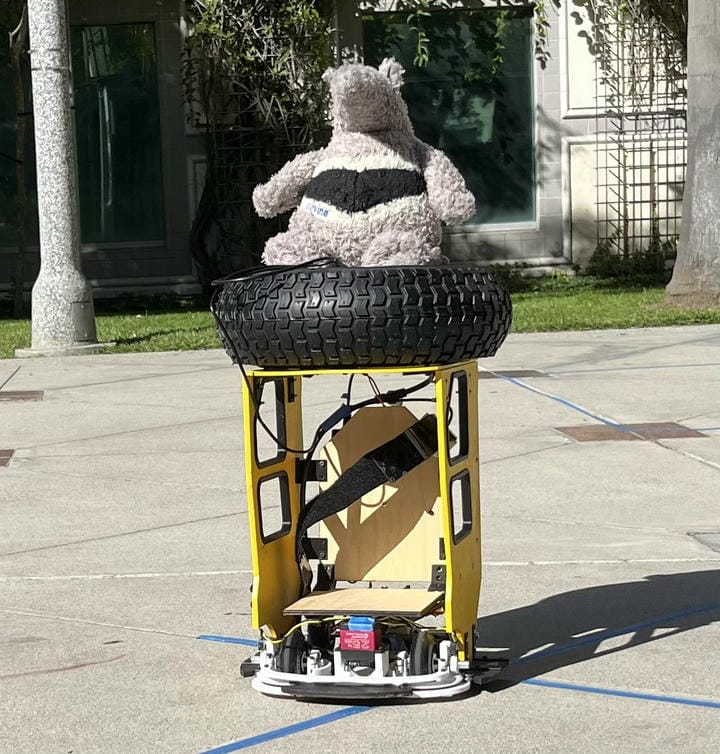 Rover portrait